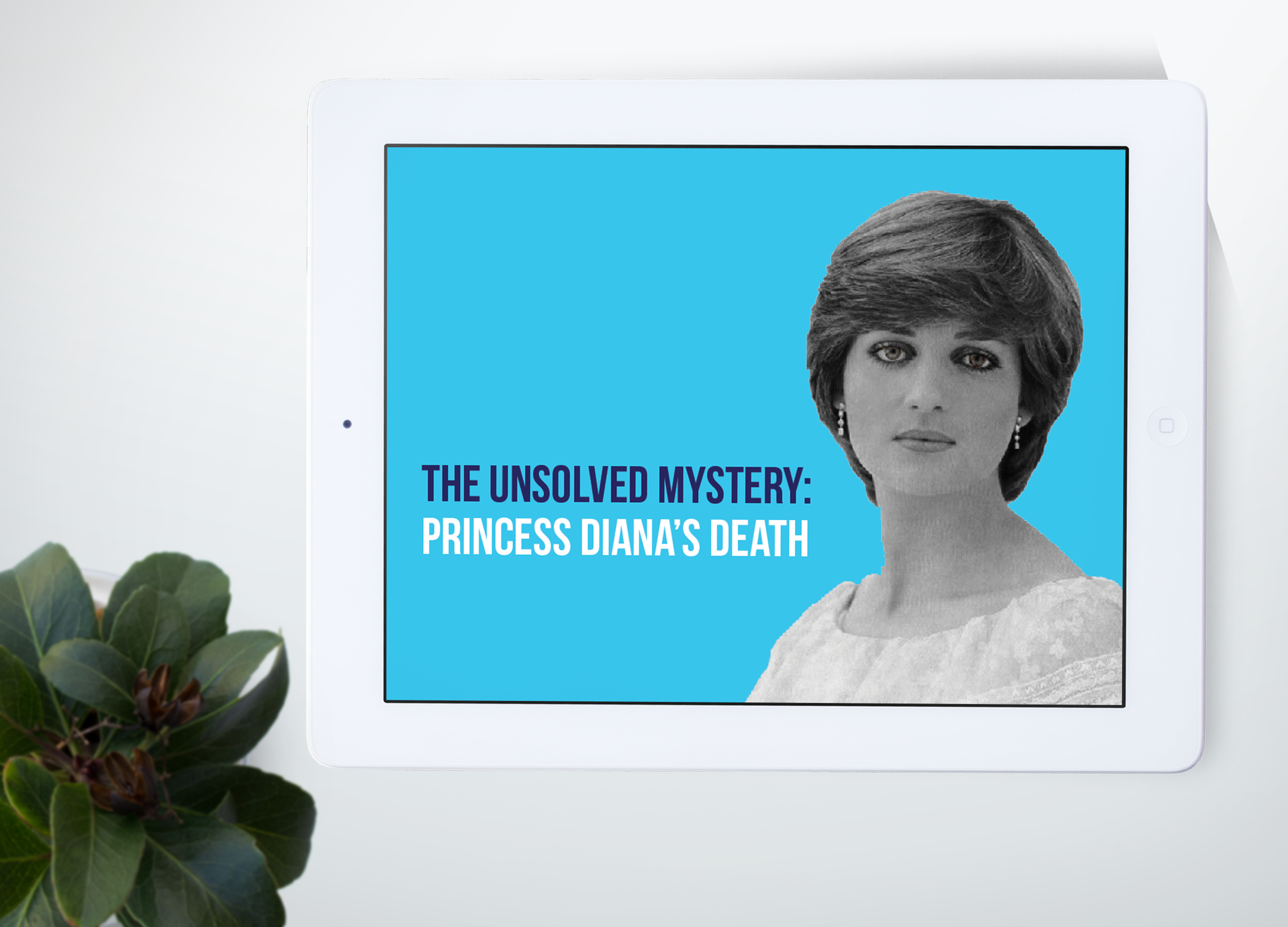 DianaMockup.png