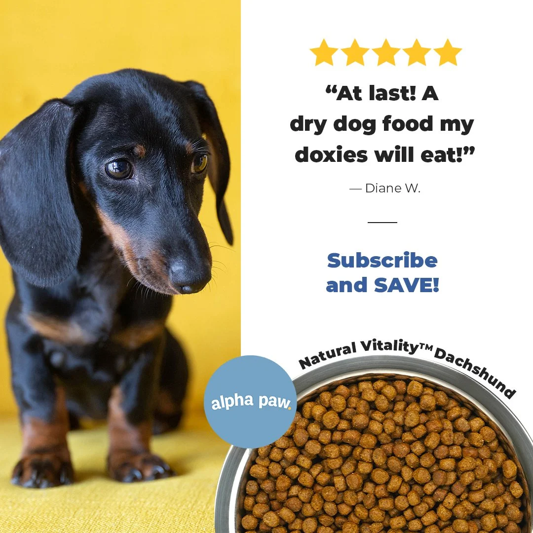 2021-0729-I-MOFUBOFU-DACHFOOD-SideBySideTestimonial-V1.jpg