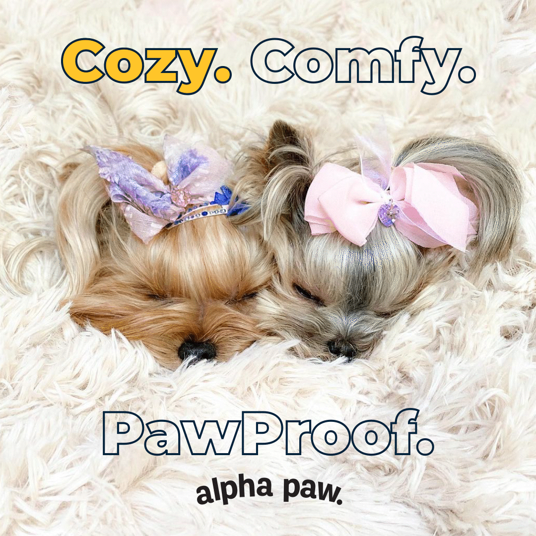 2021-1008-G-TOFU-PawProofBlanket-CozyComfyPawProof-1080x1080-v1.gif