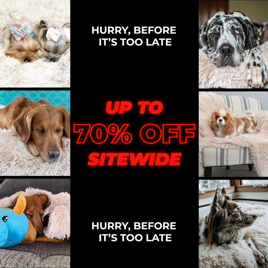 2021-1021-G-MOFUBOFU-PawProof-Grid-1080x1080-BlackFriday.gif