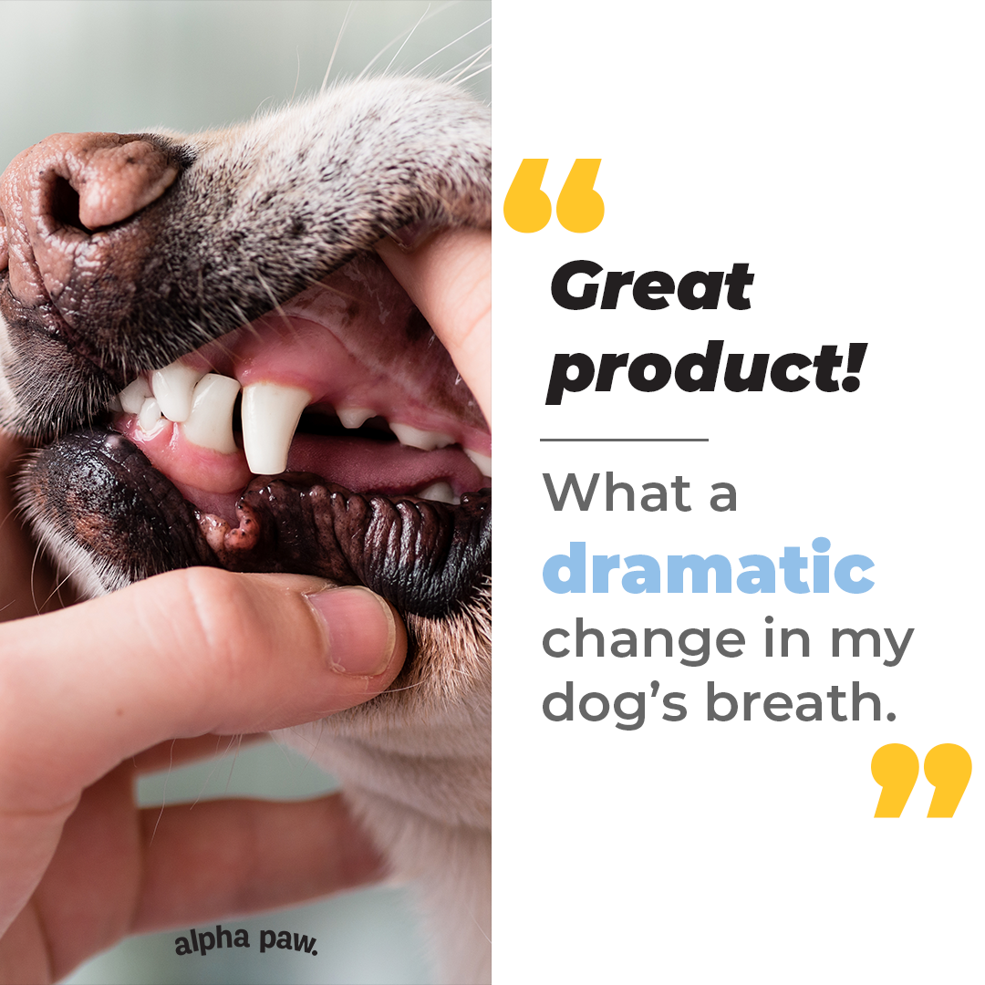 2021-0528-I-TOFU-MOUTHWASH-Testimonial-v2.png
