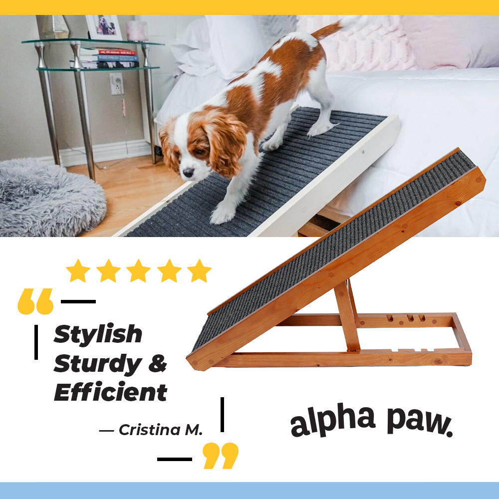 2021-0709-C-MOFUBOFU-PAWRAMP-Testimonial-V1.png
