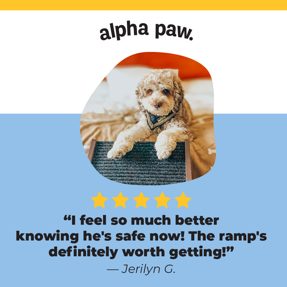 2021-0709-C-MOFUBOFU-PAWRAMP-Testimonial-V2.png