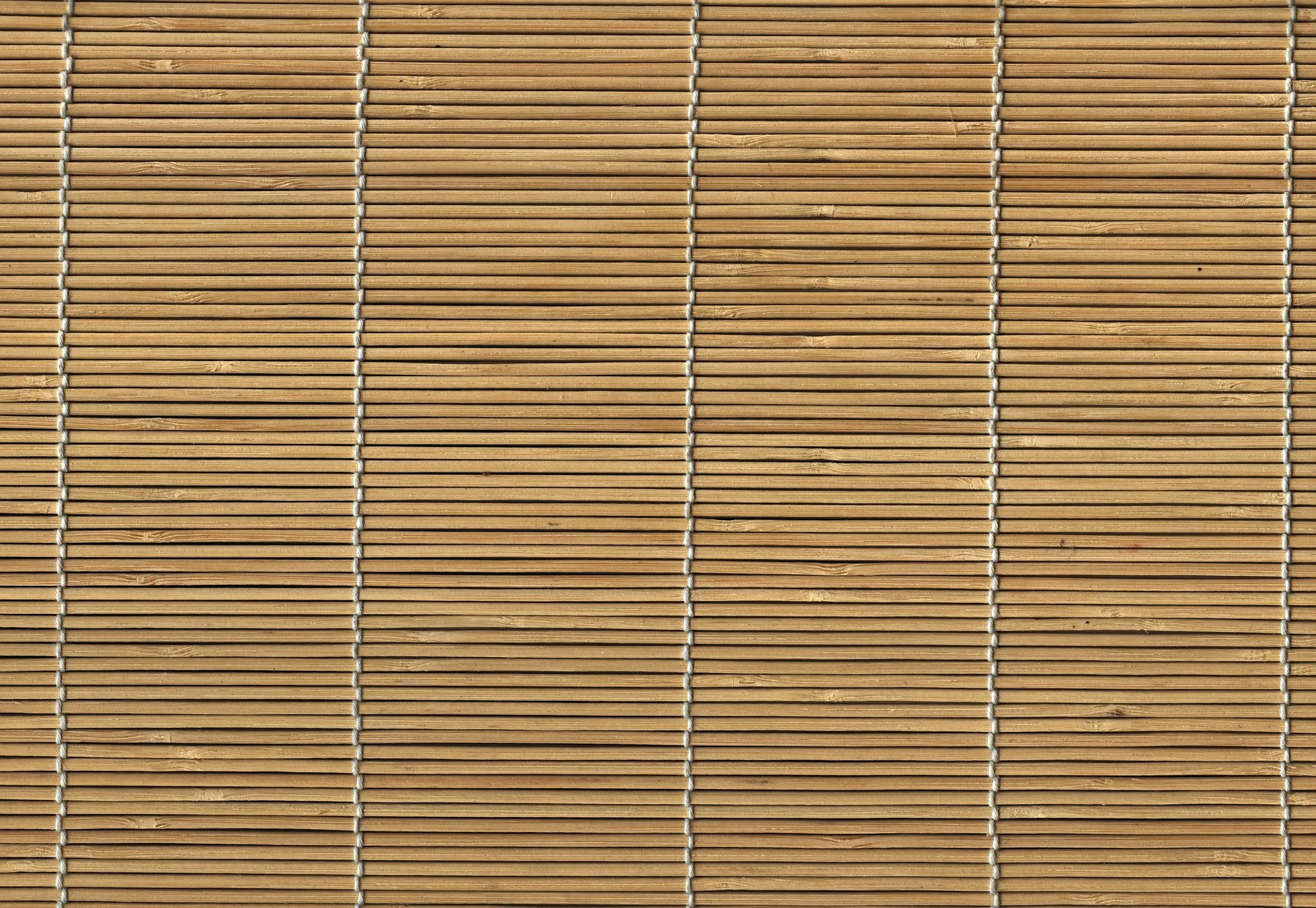 bamboo-513511_1920.jpg