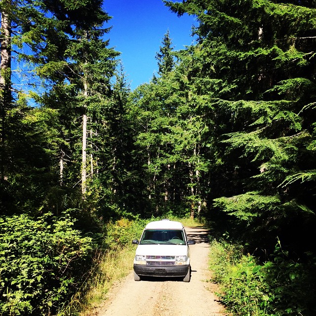 Enjoying the back roads in #Oregon. #OregonStateForest #vanontherun #dirtroads