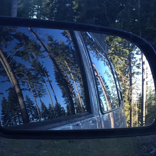 Welcome to #Oregon.  #Treesfordays #ObjectsinMirror #vanontherun