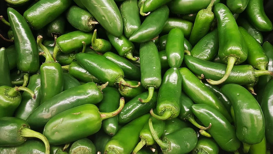 jalapenos.jpg