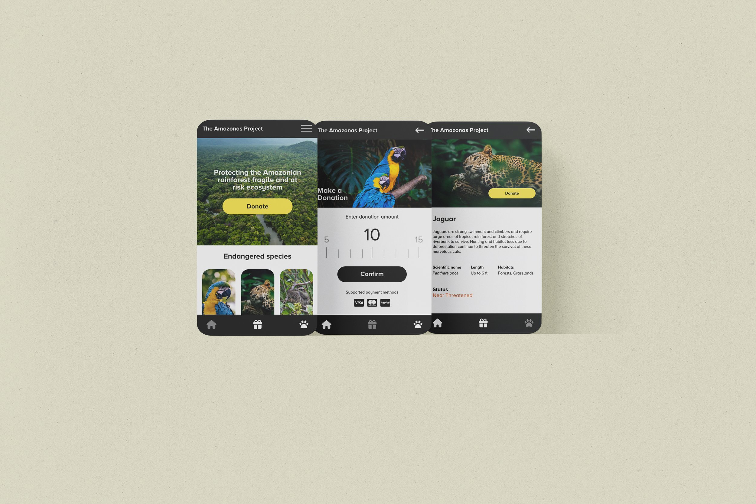 Amazonas-project_portfolio-cover.jpg