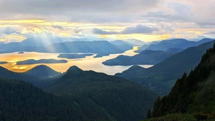What Three Weeks in Sitka Taught Us About Belonging, Observation and Design