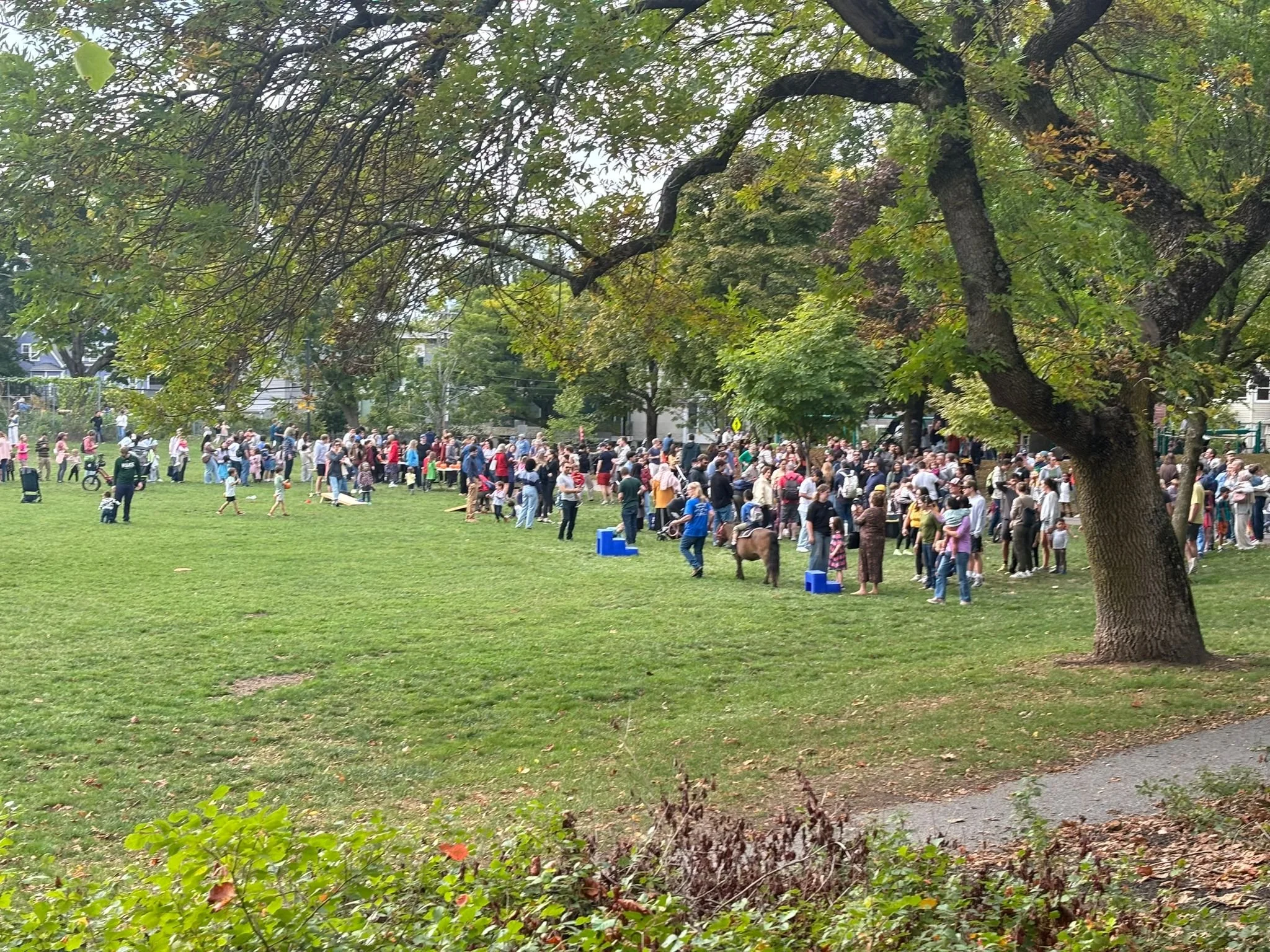 WhatsApp Image 2024-09-29 at 8.28.20 PM.jpeg