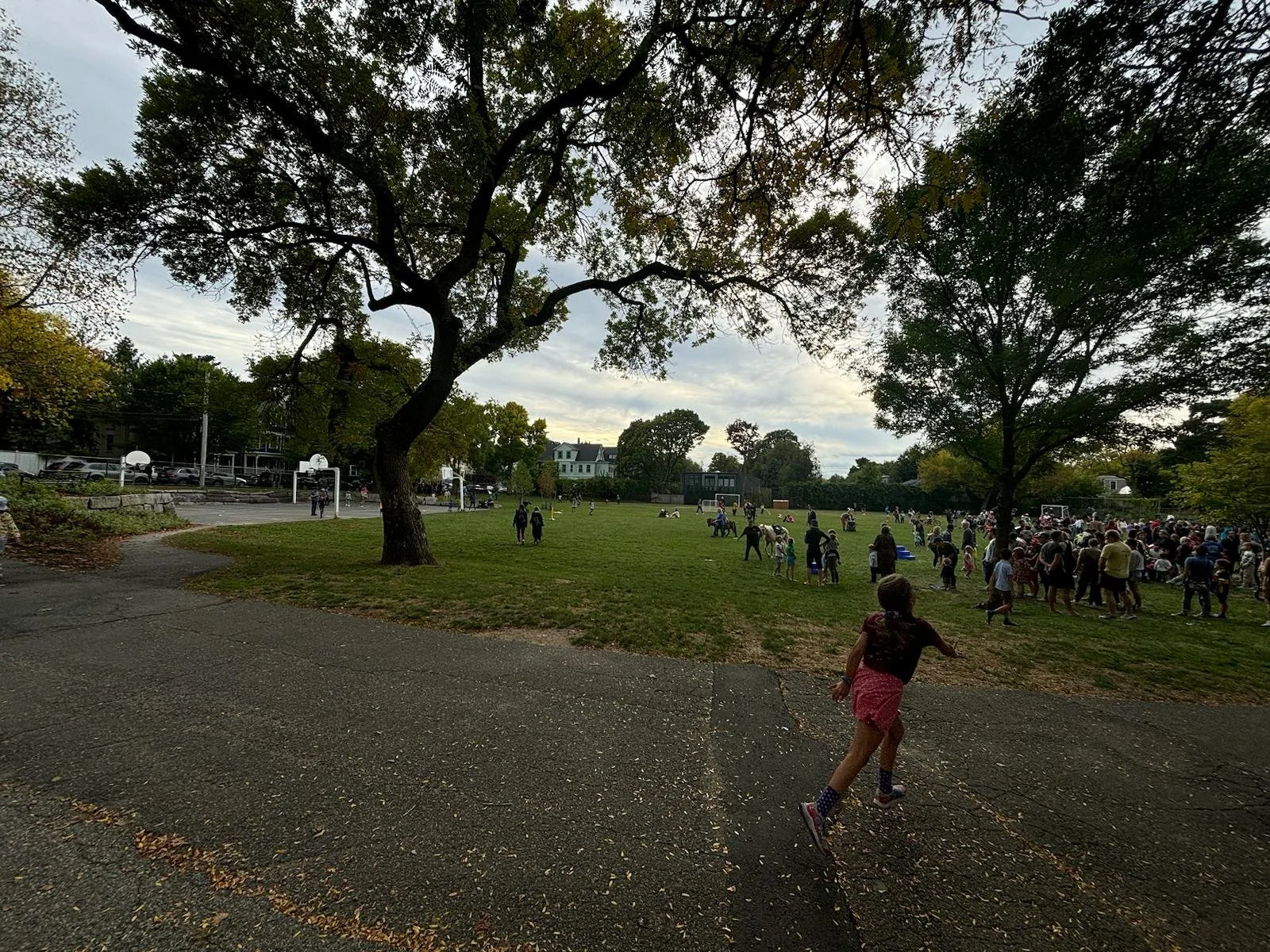 WhatsApp Image 2024-09-29 at 8.21.34 PM.jpeg