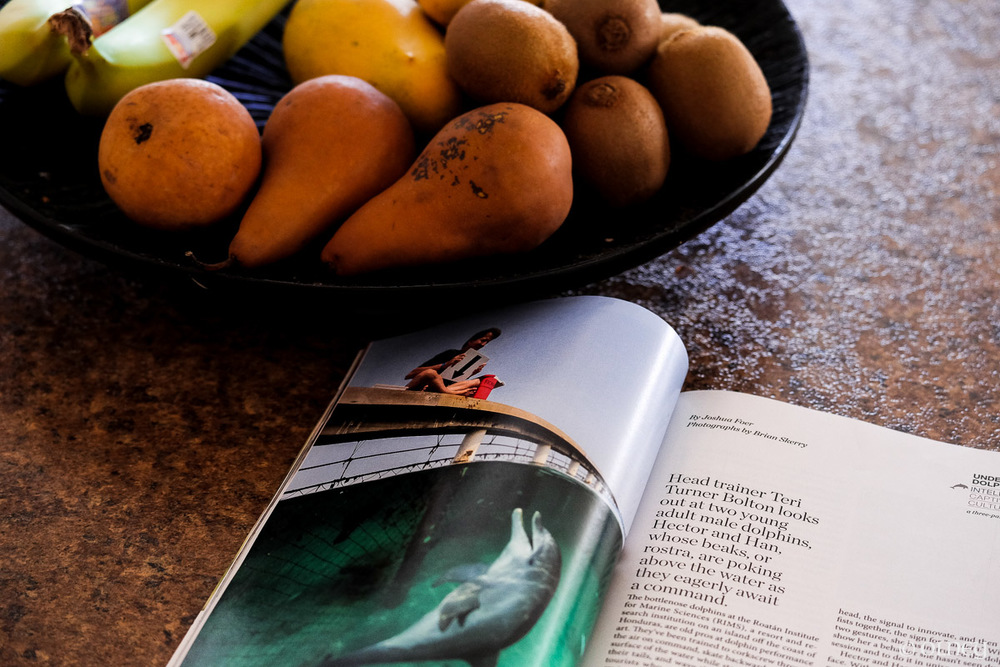 Fruits on a plate with journal olney photographe sherbrooke