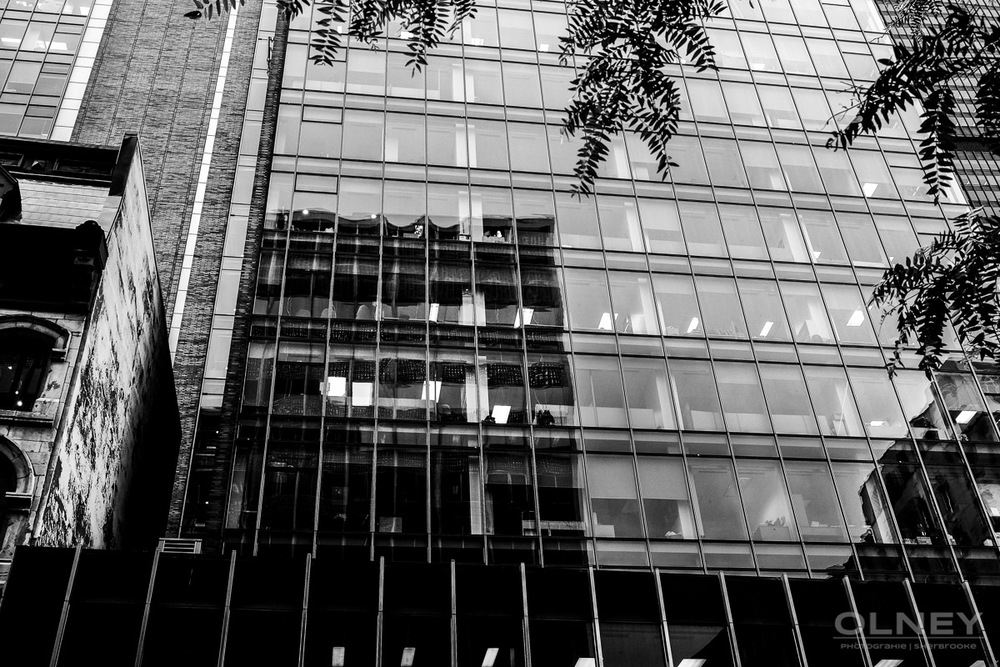 OLNEY-Building on McGill street in Montreal QC street photography olney photographe sherbrooke