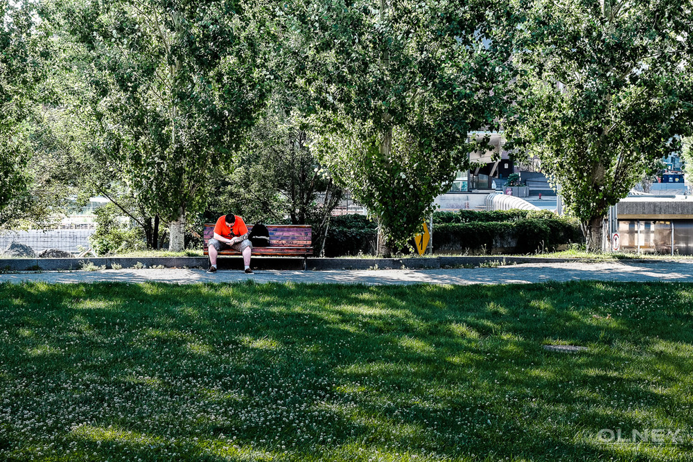 man alone in green park montreal street photography olney photographe sherbrooke