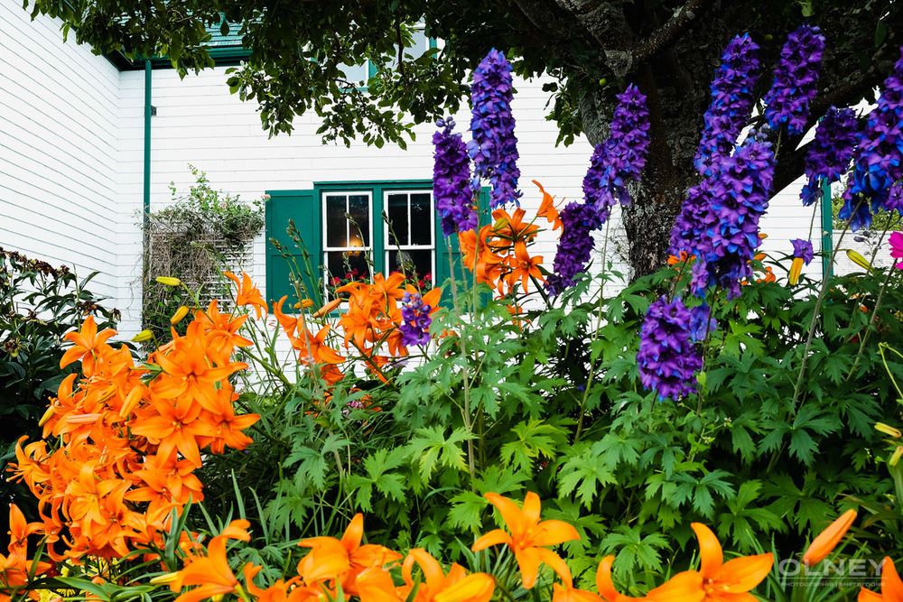 Ann of Green Gables park olney photographe sherbrooke