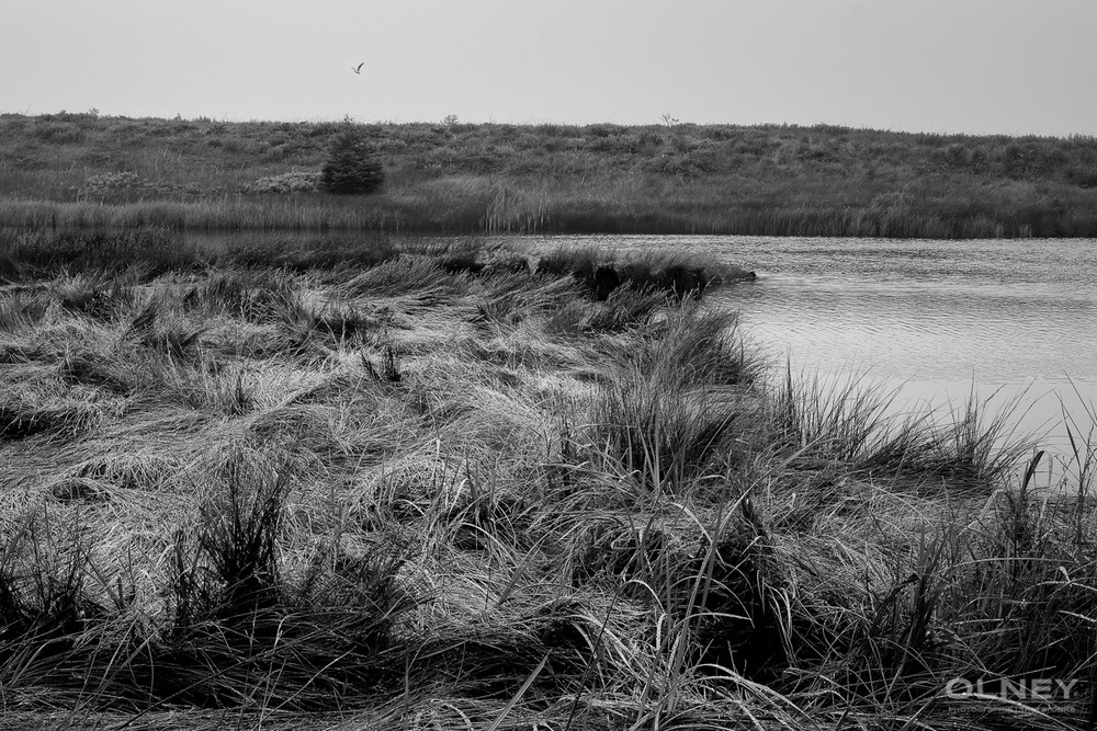 Outside the walls of Louisbourg Cap Breton black and white olney photographe sherbrooke