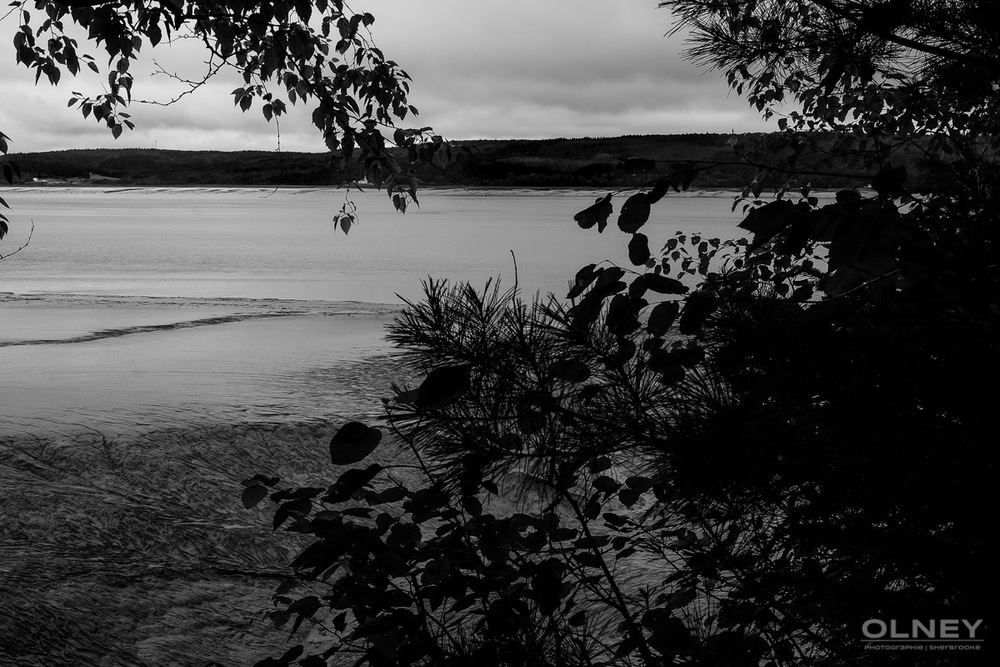 Petitcodiac River black and white olney photographe sherbrooke