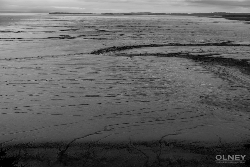 Shepody Bay mudflats black and white olney photographe sherbrooke