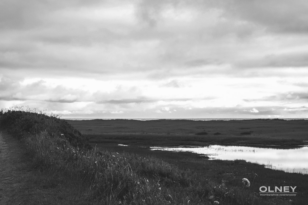 Dune and barachois in PEI black and white olney photographe sherbrooke