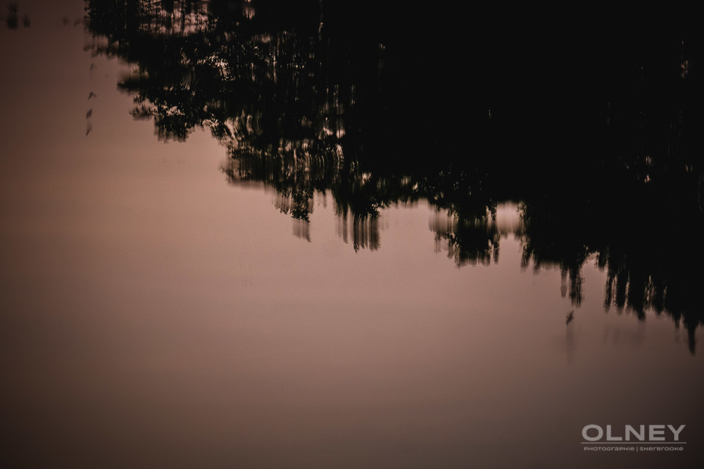 reflets dans eau parc lafontaine street photography olney photographe sherbrooke