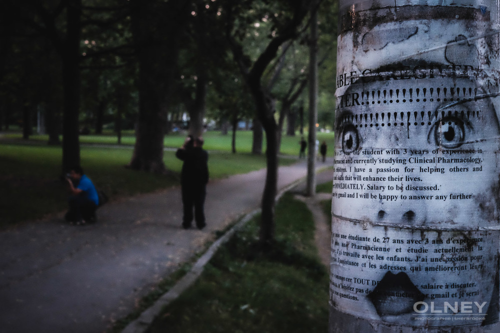 job searching flyer in park lafontaine street photography olney photographe sherbrooke