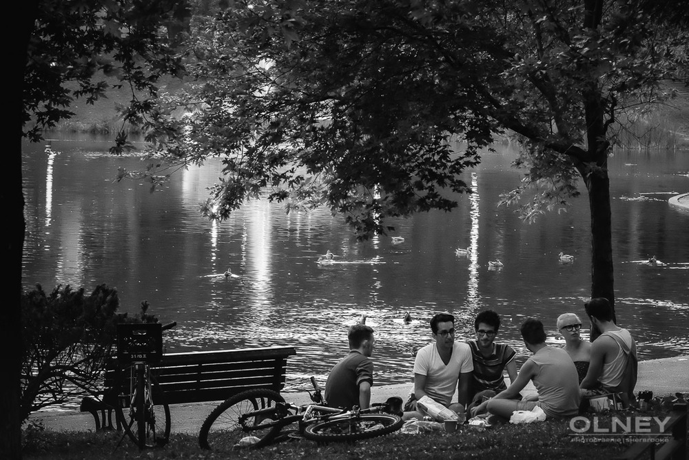 Group discussing in Lafontaine park Montreal OLNEY photographe Sherbrooke