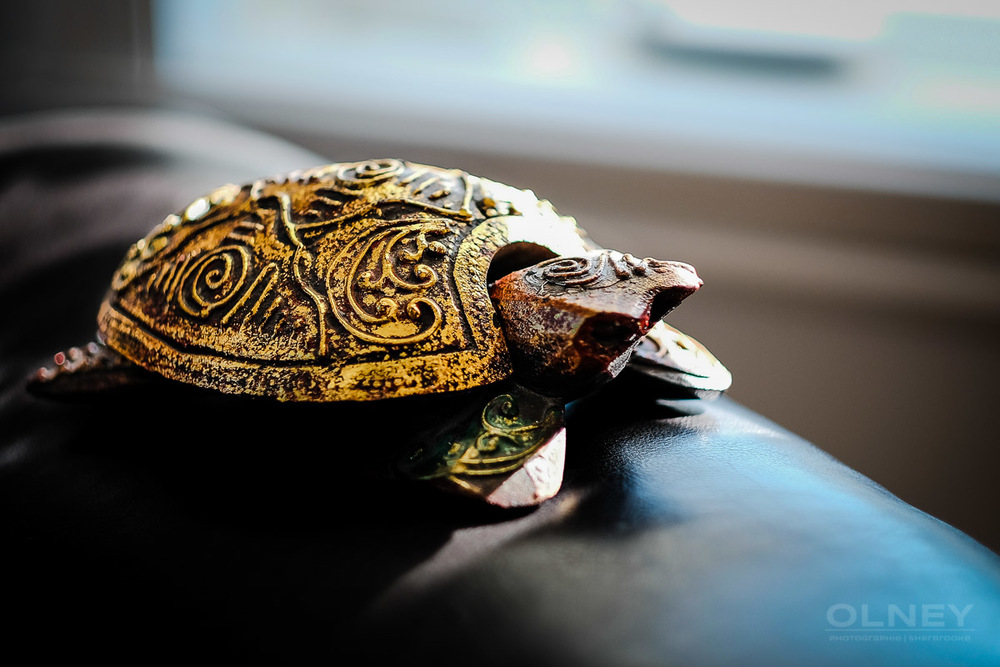 Indian tortoise incense burner