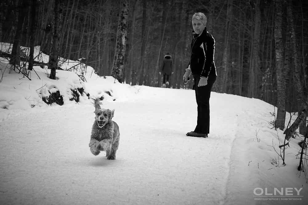 Chien courant dans la neige