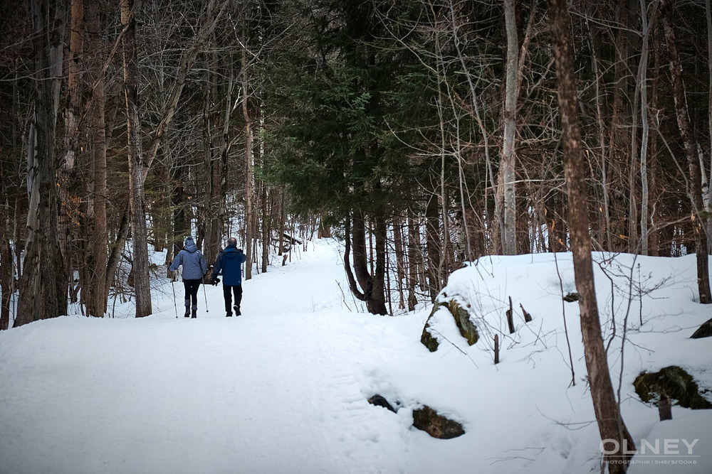 Couple on Mont Bellevue in Sherbrooke