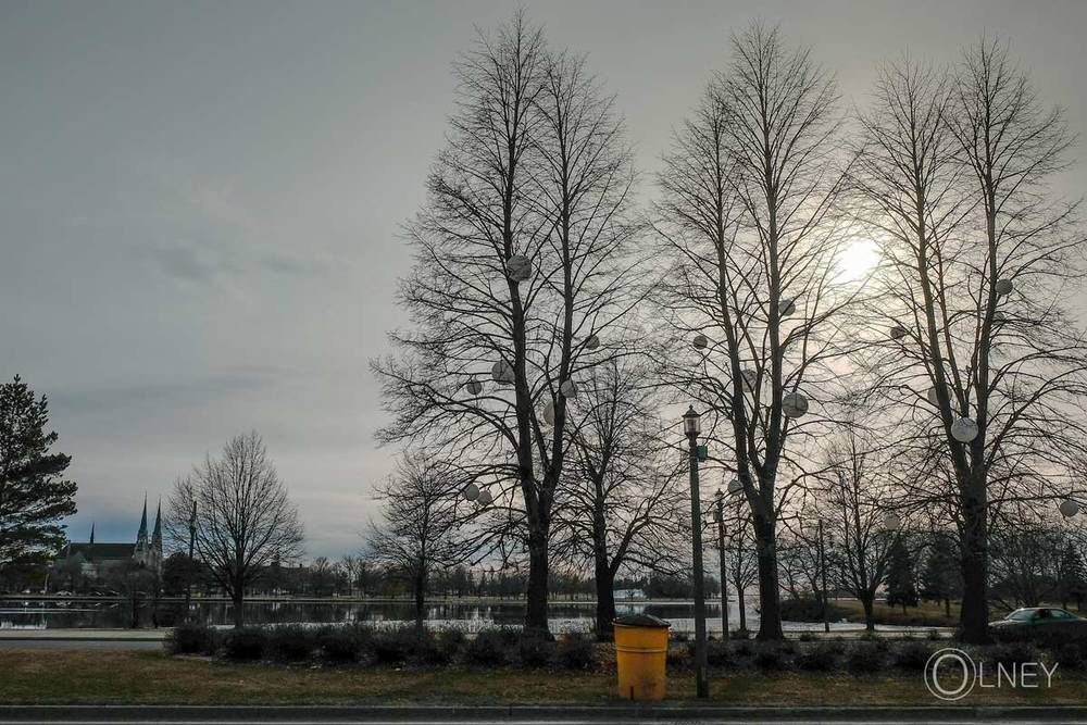 Trees and sunset on baie saint-francois