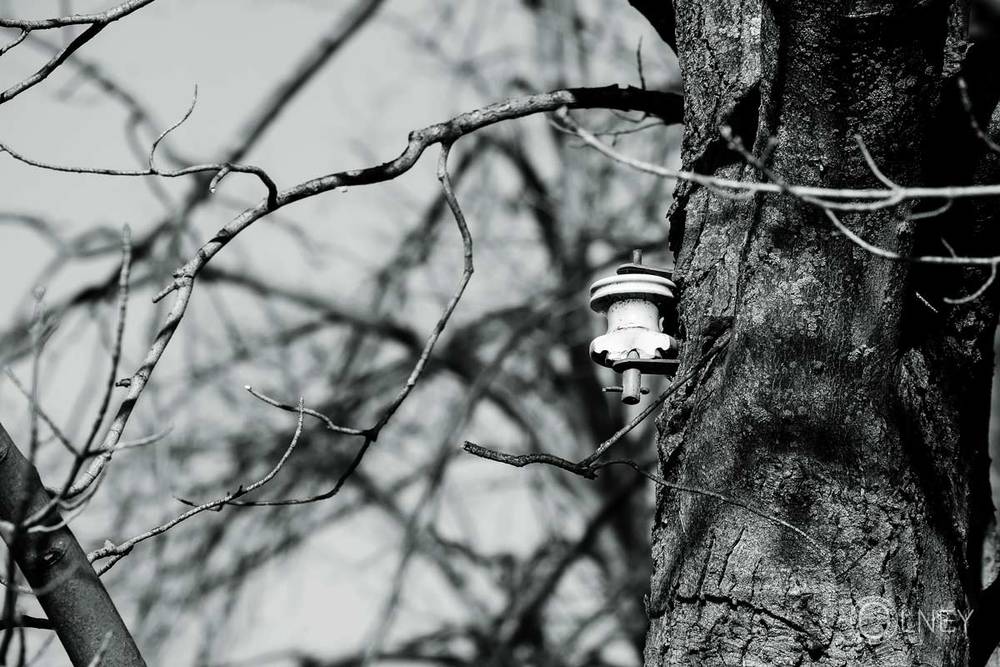 pièce électrique fixée à un arbre