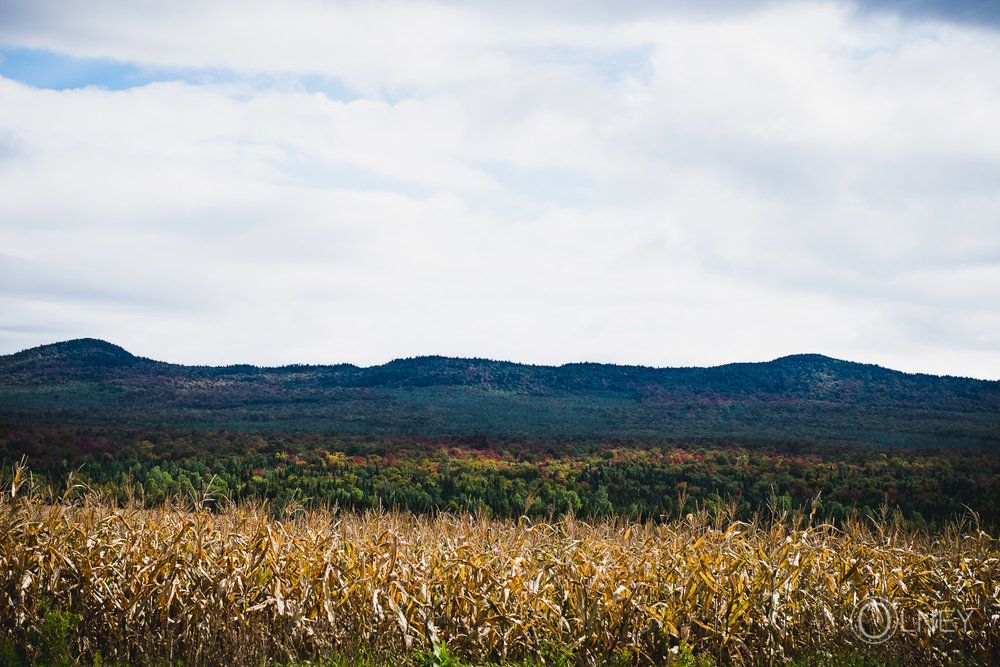 monts de stoke en automne