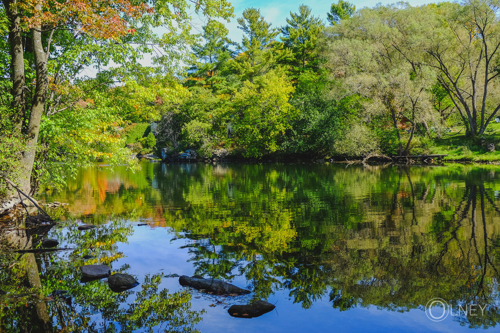 Cantons de l'est en automne