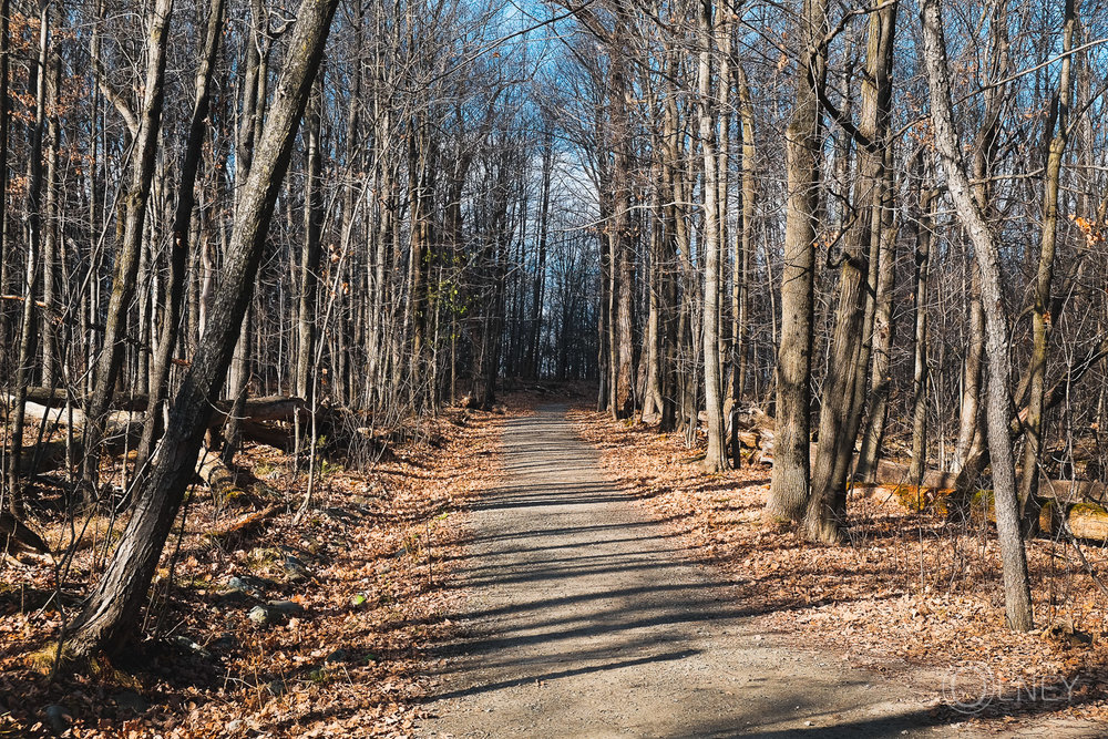 sentier du bois beckett à Sherbrooke QC en Estrie