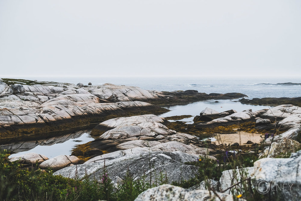 rock and sea at peggy's cove nova scotia