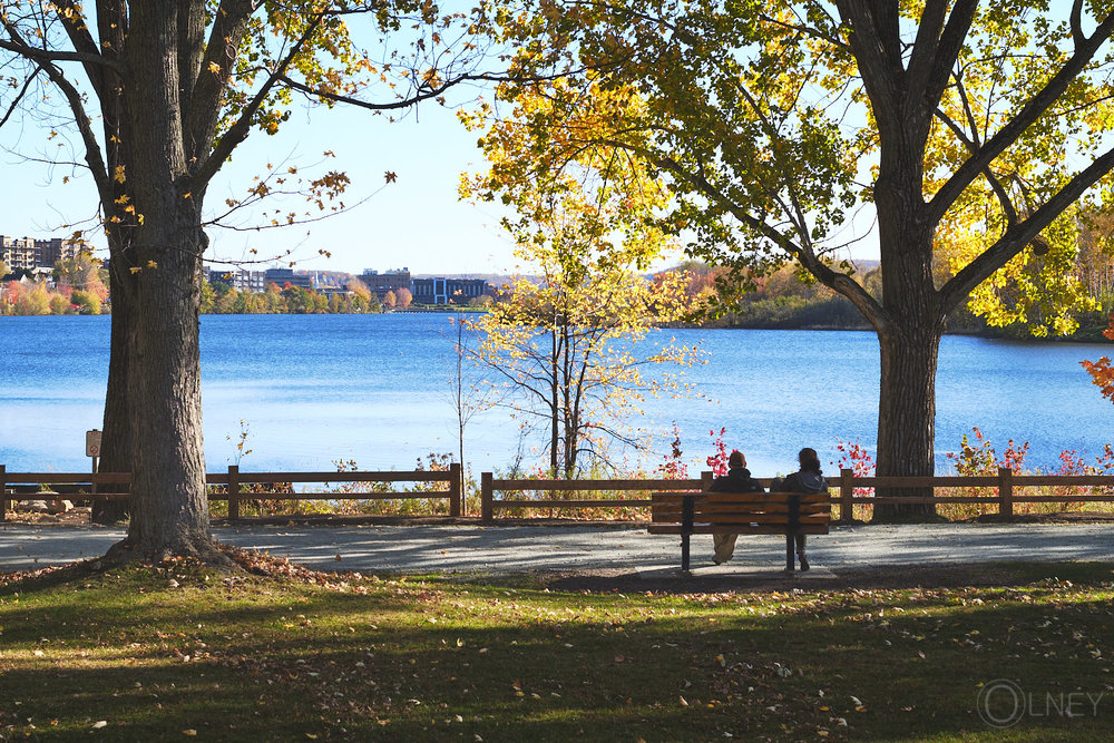 fall contemplation in sherbrooke qc