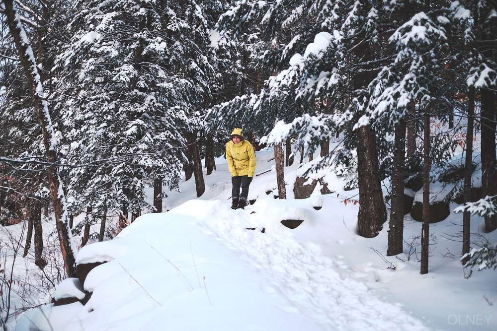 woman in snow and trees