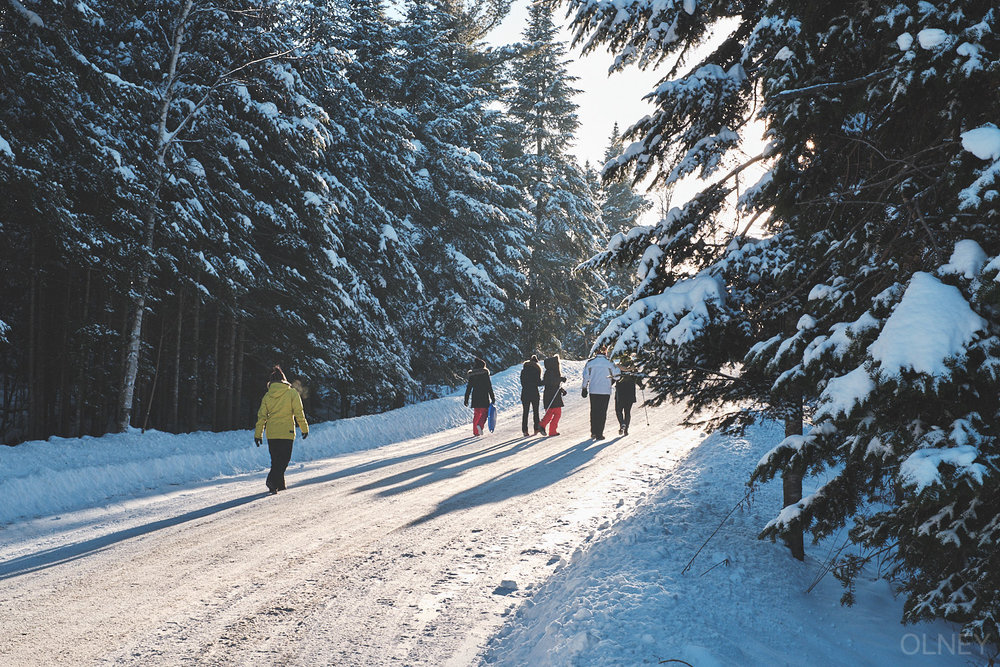 group of people walking in winter