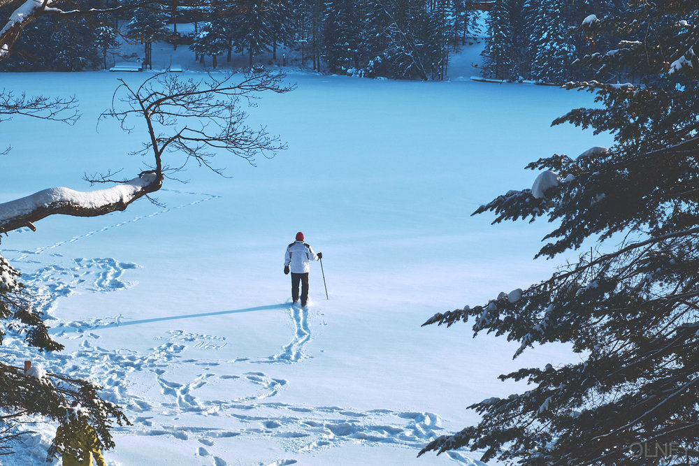 men walking alone on frozen lake