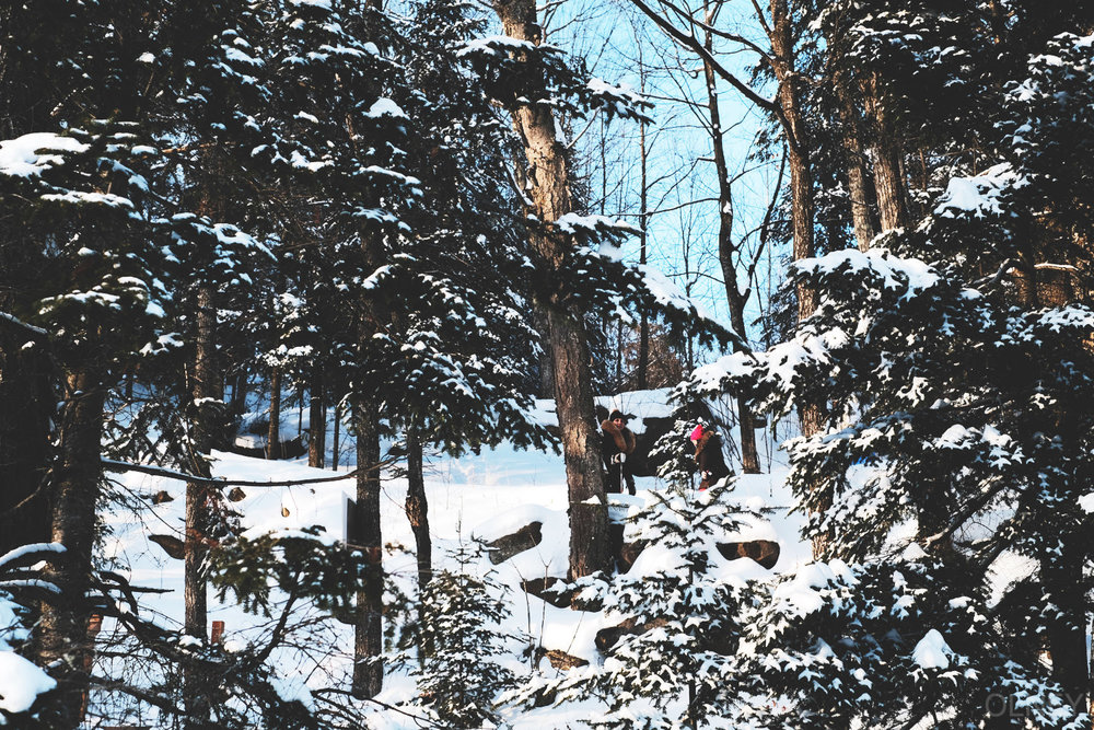 group in the woods