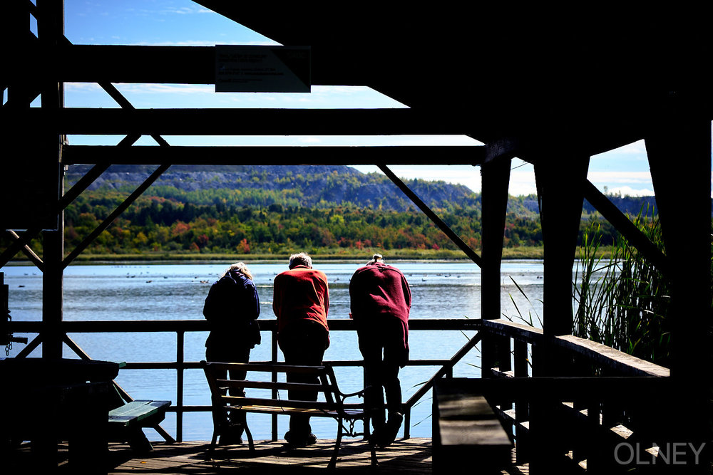 trio observing dicks at etang burbank in danville quebec