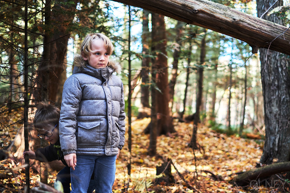 boy portrait in the woods