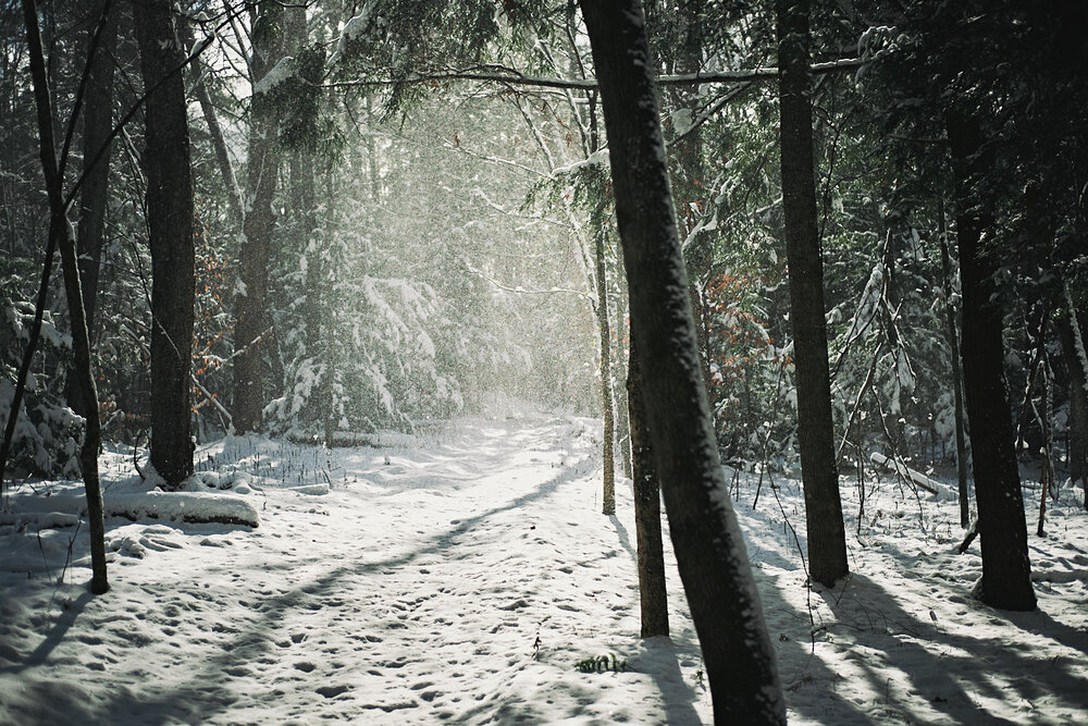 early snow in a sun patch