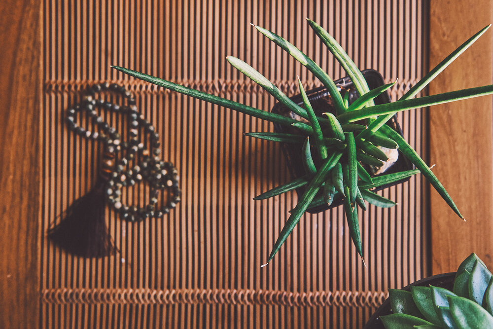 Table, plante et objets au soleil