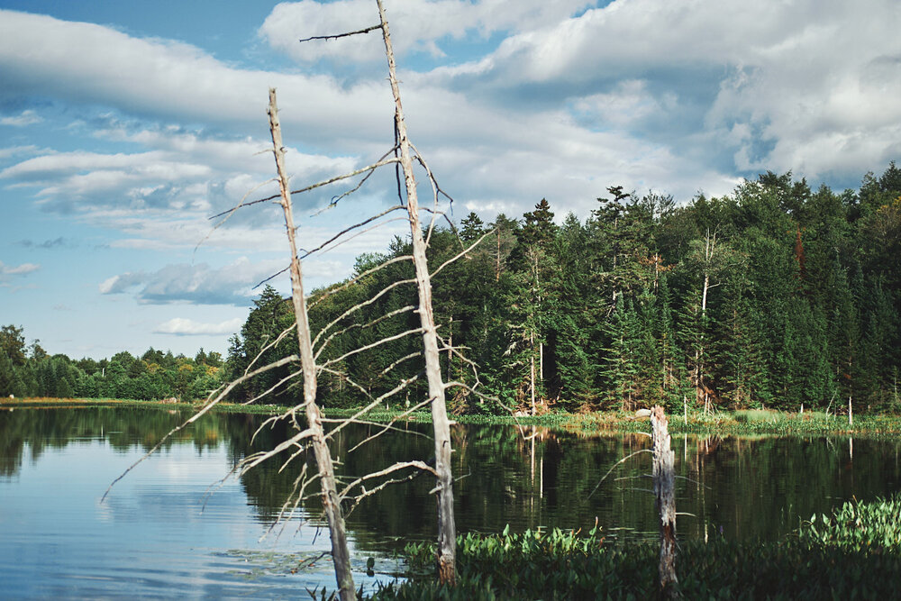 Lac à Wentworth QC