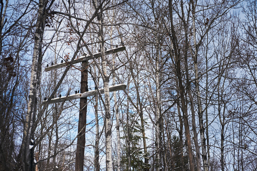 poteau parmi les arbres à Sherbrooke QC