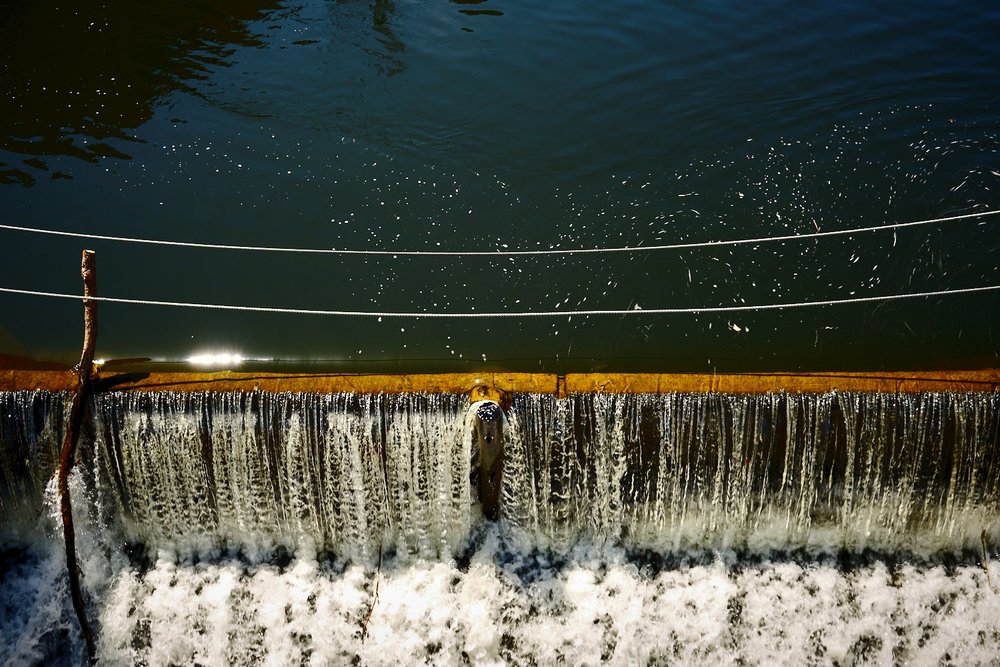 Magog River overflow in Sherbrooke