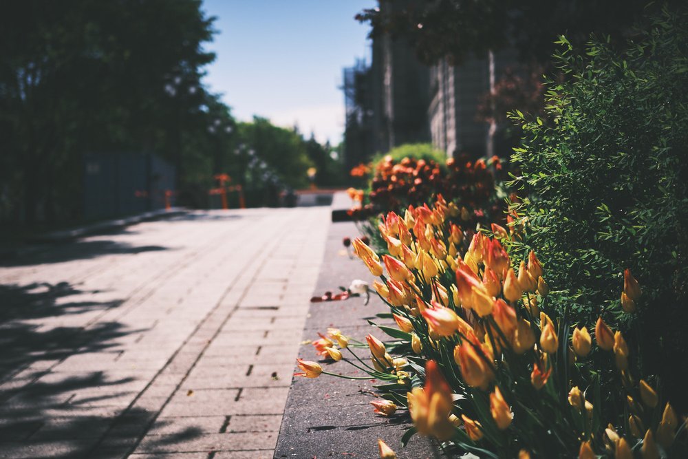 Promenade du Parlement, Québec