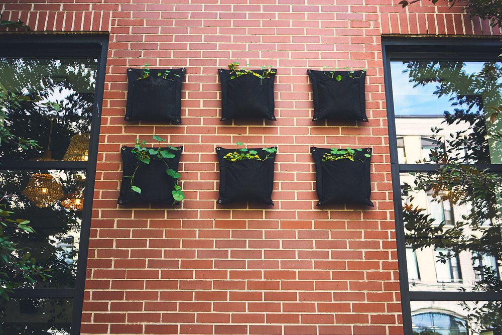 decorated wall and reflections in downtown Sherbrooke, QC, Canada