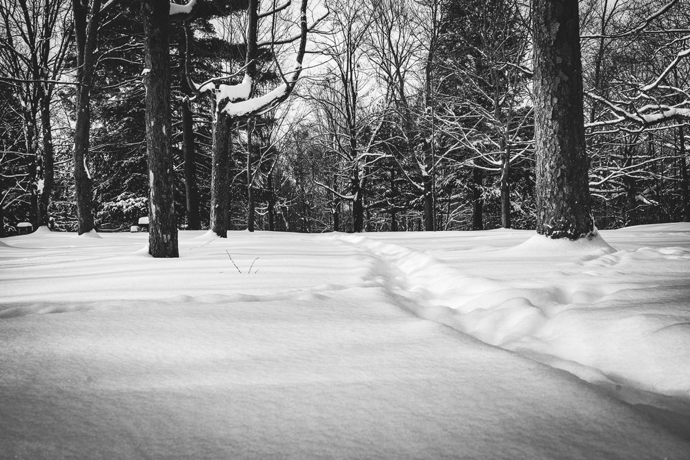 Path in the snow in Victoria Park in Sherbrooke QC, Canada
